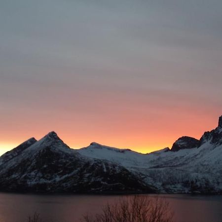 Senja, Husoy I Senja. Leilighet Med Utsikt Over Fjord Og Fjell Tofta Kültér fotó