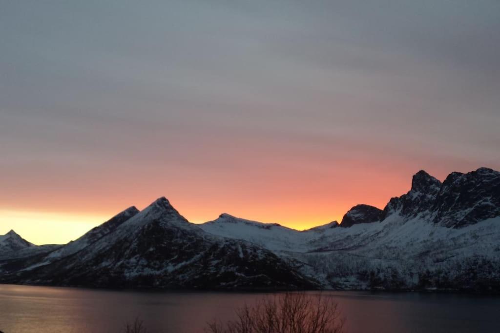 Senja, Husoy I Senja. Leilighet Med Utsikt Over Fjord Og Fjell Tofta Kültér fotó