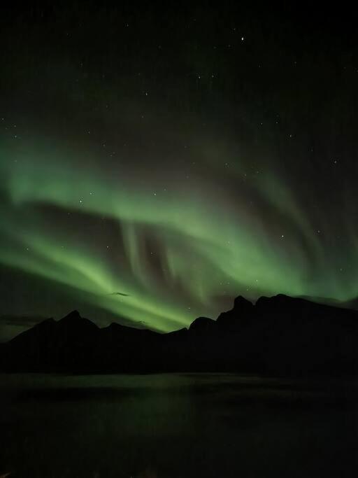 Senja, Husoy I Senja. Leilighet Med Utsikt Over Fjord Og Fjell Tofta Kültér fotó